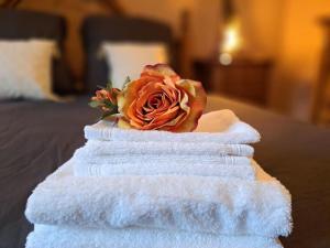 Maisons de vacances Gite Spa 