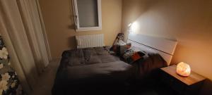 Maisons de vacances Gite, Jacuzzi/Sauna a Colmar : photos des chambres