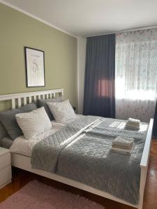 Apartment in the city center