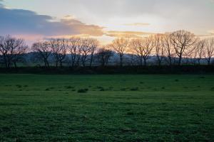 Casale del Rosmarino - Monolocale Melograno
