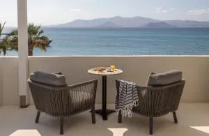 伊里亚海滩艺术酒店 - 纳克索斯岛卡斯特拉基