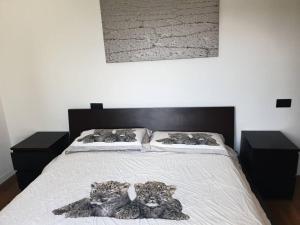 Il Pennino - Villa Penna