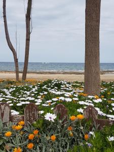 Holiday Apartment with Sea View (0002913)