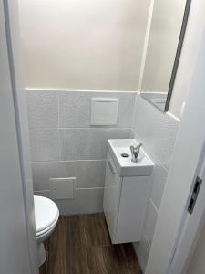 Apartment in Maribor 