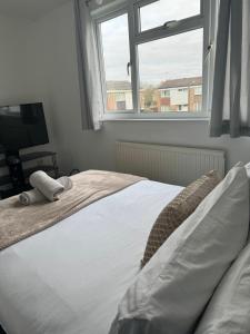 Spacious Comfortable 4 Bedroom House