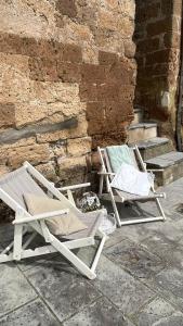 Il nido sulla terrazza