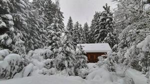 Chata Sport Vysočina