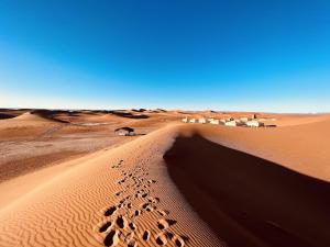 Sahara wild camping