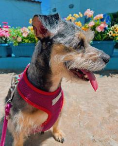 El santorini colombiano cabaña