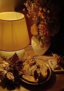 Affittacamere Paradiso, turismo rurale - Luras