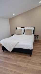 Appartements Spa des ducs loft 2 : photos des chambres