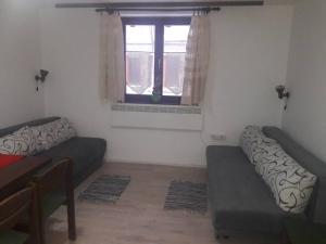 Apartman Ema,Bela Reka,Brzece