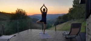 RELAX CHALET Nature Retreat - isolé sur 3 hectares - confort de LUXE - maison entière 150m2 - près de La Bresse