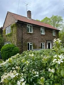 Wimbledon village and tennis - 新莫尔登