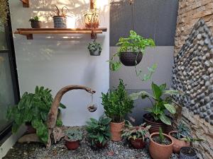 Palmera Palma Private 1-BR Bungalow #3