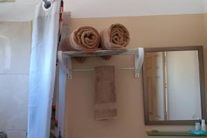 Loft Flor de Pitaya