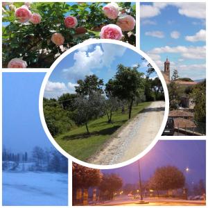 Splendido ampio appartamento a Montepulciano