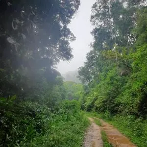 DaFazenda - 里约博尼图