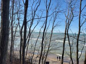 LakePath Beach House - XL hot tub, walk to beach