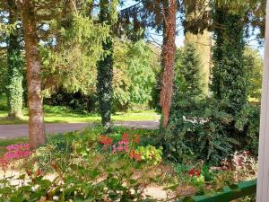 B&B / Chambres d'hotes Guestroom Saint-Thomas-de-Courceriers, 1 piece, 2 personnes - FR-1-600-233 : photos des chambres