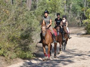 Agréable appartement pour 6 pers, balcon à 50m de la mer - FR-1-323-308