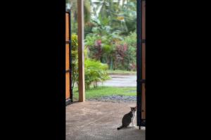 La Pang Resort 라팡리조트