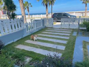 NovaWorld Phan Thiet Beachfont 2Room 3Bed 3Wc