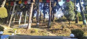 TAMANG FAMILY HOMESTAY VL BED & BREAKFAST, DARJEELING
