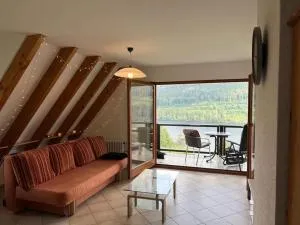 Titisee Traumblick - Bruderhalde