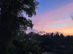 A Uniq Villa 1 Bed Room Private - Darmasaba