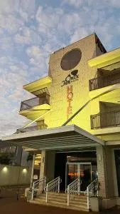 克拉维纽斯奥尼克斯酒店 - Cravinhos