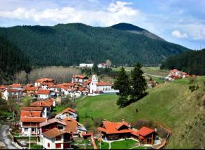 Detached Guest House Рилски кът Маджаре