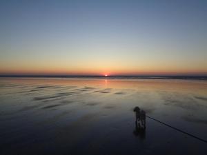 Le Crépuscule, 300m de la plage, animaux de compagnie bienvenue