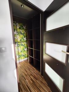 Apartament w centrum