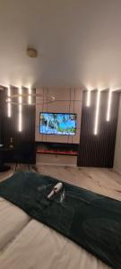 Hanza King Apartament