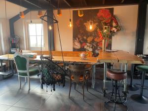 Luxe in stiltegebied tussen loslopende Alpaca’s