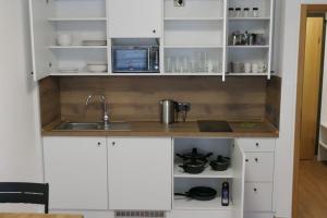 Modern flat near Großer Arber