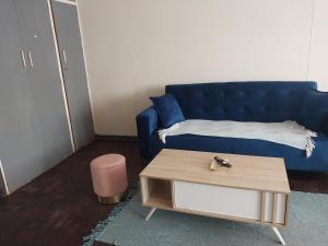 Comfy spacious apartment