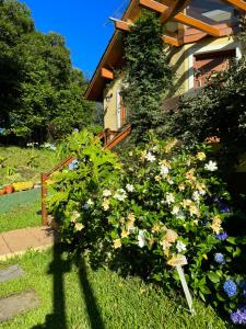 Recanto DOIS Pinheiros RS