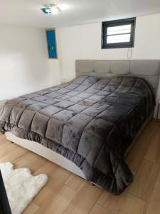 Villas Villa elegante a Biscarrosse avec piscine privee : photos des chambres