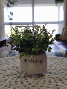 Beach apartment Villas do Campeche