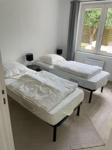 Maison plain-pied entièrement neuve 4 chambres