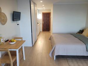 Cosy ocean view studio 2