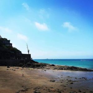 Appartements Appartement cosy a 300 m de la plage : photos des chambres