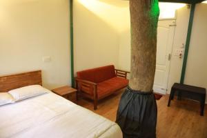 SpiceBuds TreeHouse - Idukki