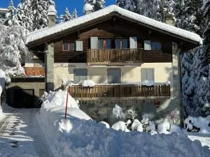 APPARTEMENT DE CHARME EN ATTIQUE dans UN PETIT CHALET - La Giète Délé