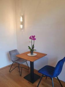 Neu renovierte Altbauwohnung im Herzen von Steyr 100qm