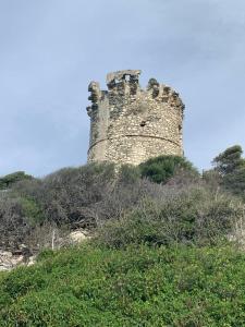 Domaine Amortella Saint-Florent