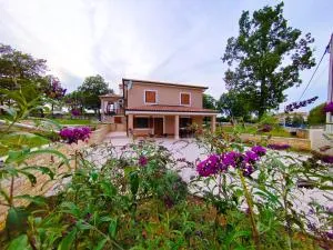 Honey apartment - Matohanci