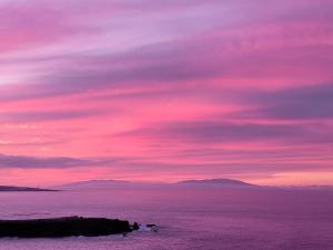 Cosy ocean view studio 2